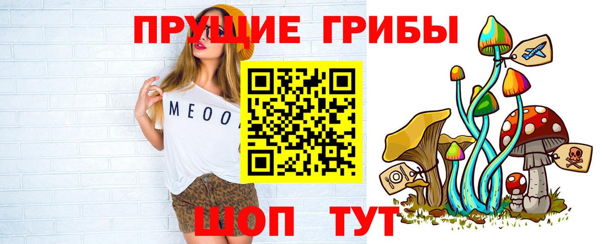 ГАШ Дедовск