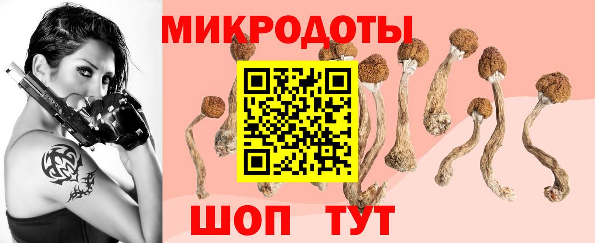 Галлюциногенные грибы Psilocybine cubensis Дедовск